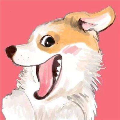 召唤英雄网易版下载