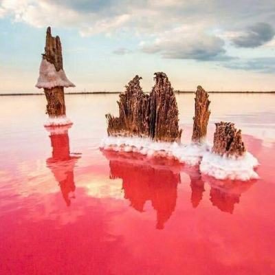 独霸四方手游